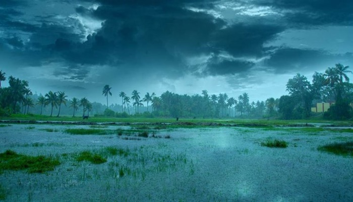 Maharashtra Monsoon