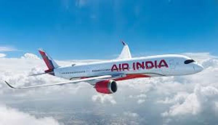 Air India International and domestic flights cancelled
