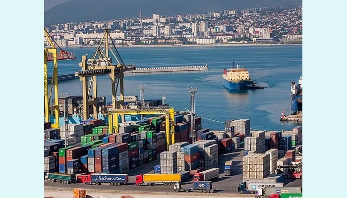 1,115 Metric Tonnes Of Pakistani Goods