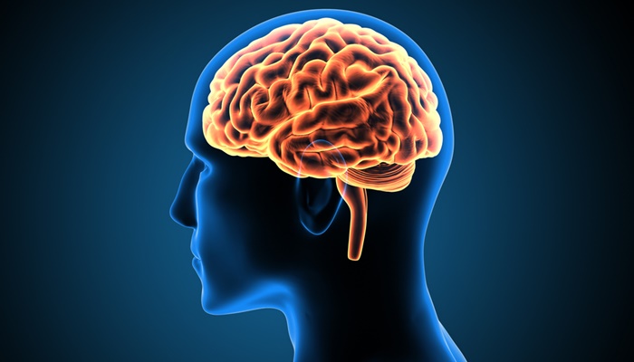 Brain-Affecting Tapeworm Infections