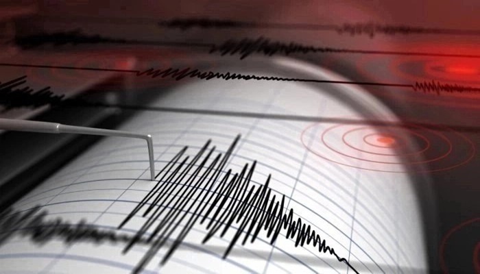Delhi Earthquake
