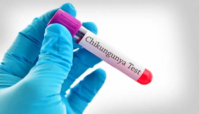 Chikungunya Outbreak
