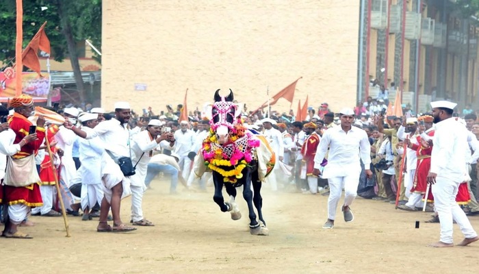 akluj tukaram maharaj palakhi