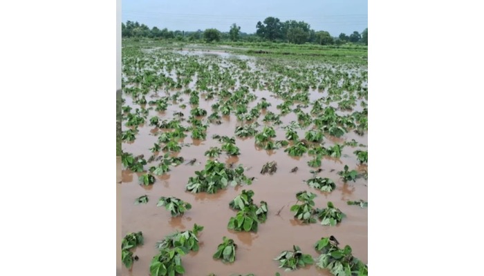 Heavy Rains Continue Across Maharashtra