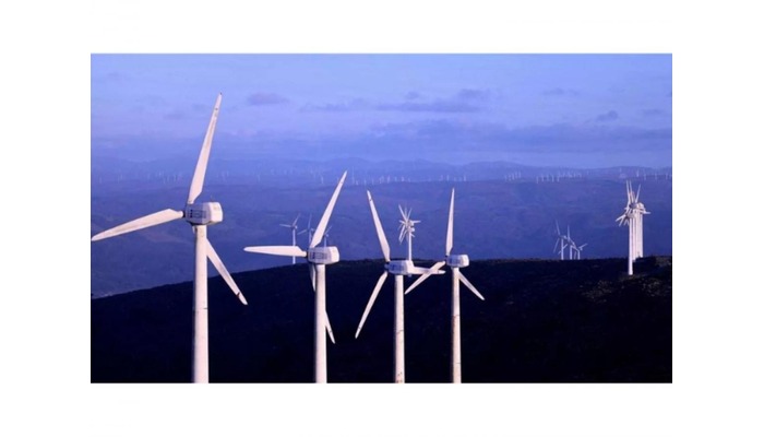 Windmill Company