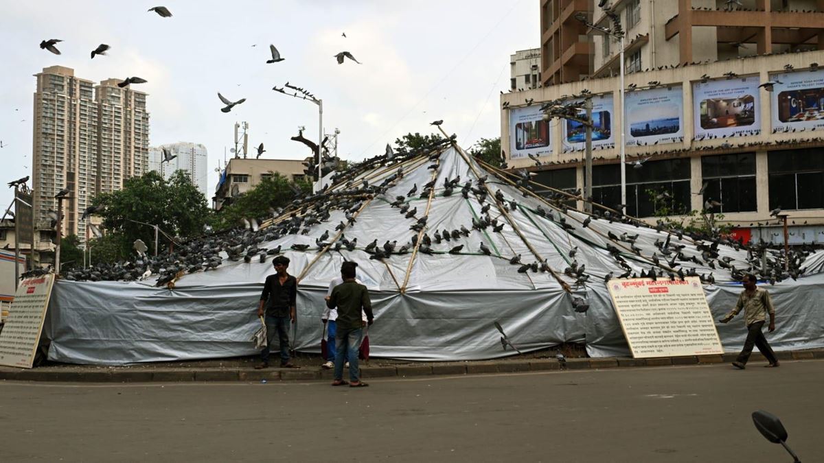 Marathi Ekikaran Samiti Protest At Dadar Kabutarkhana