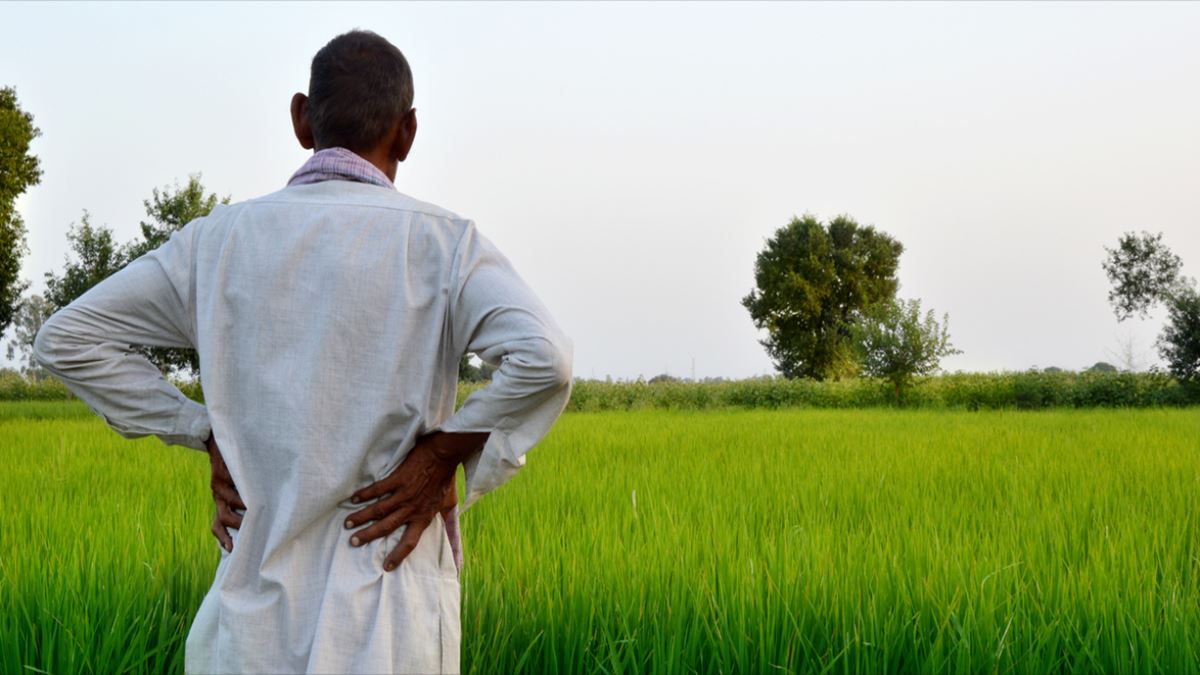 Maharashtra Farmers Loan Waiver