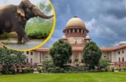 No review petition yet regarding Mahadevi Hattini