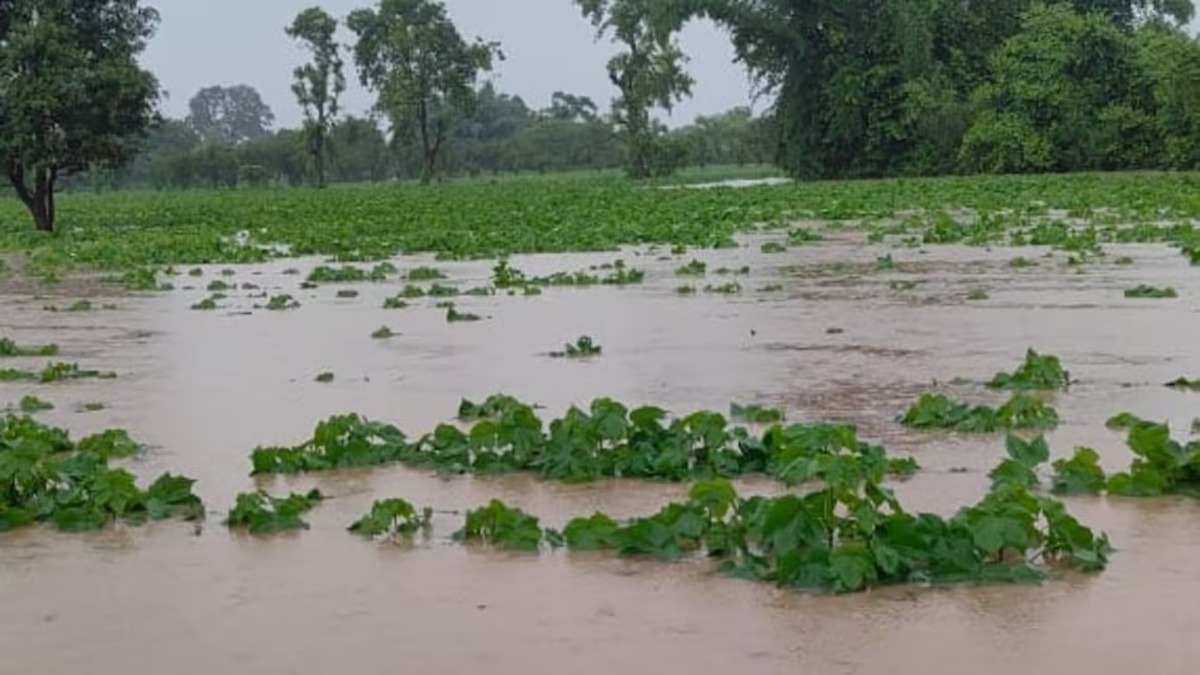Amravati Rain