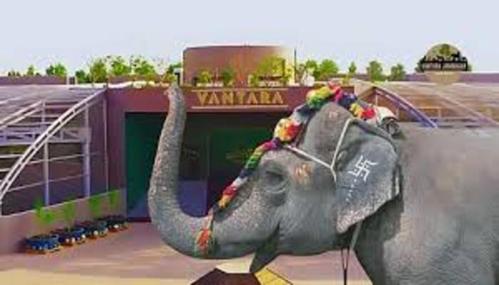 March in Karad for Mahadevi Elephant