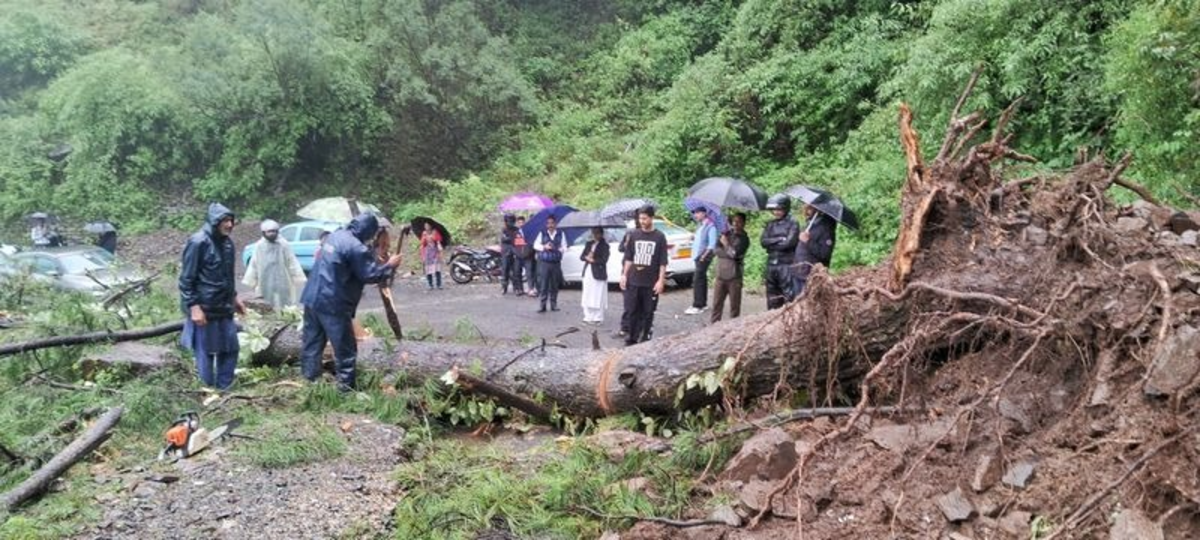 Traffic Disrupted at 3 Airports in Himachal Due to Heavy Rain