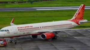 Bird hits Air India plane