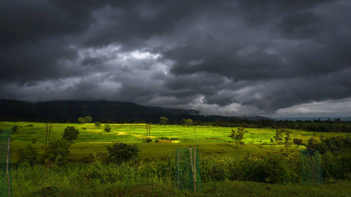Unseasonal Rain