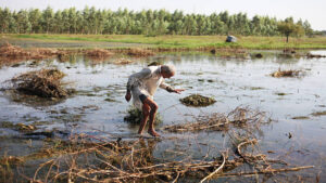 Flood Affected Talukas