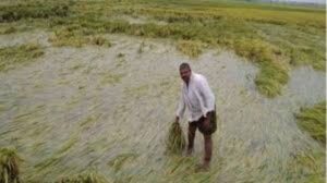 Help for farmers