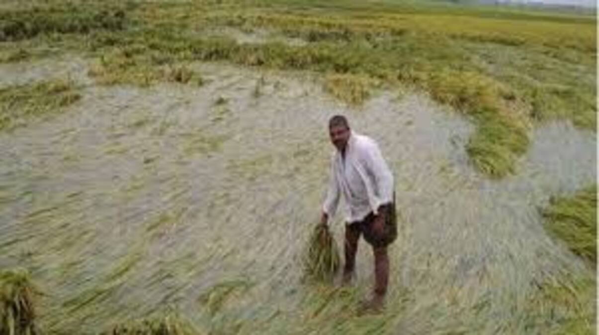 Help for farmers
