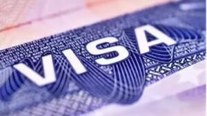 Digital Gold Investment