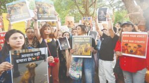 Youth Congress Protests Against Action on Stray Dogs