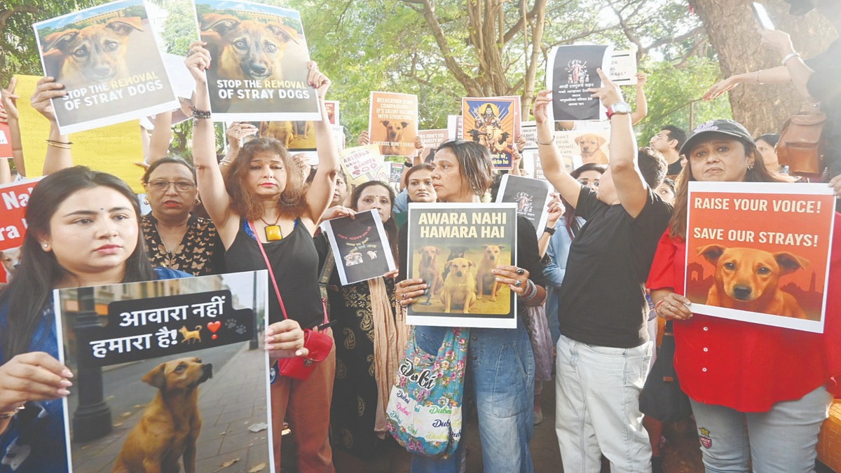 Youth Congress Protests Against Action on Stray Dogs