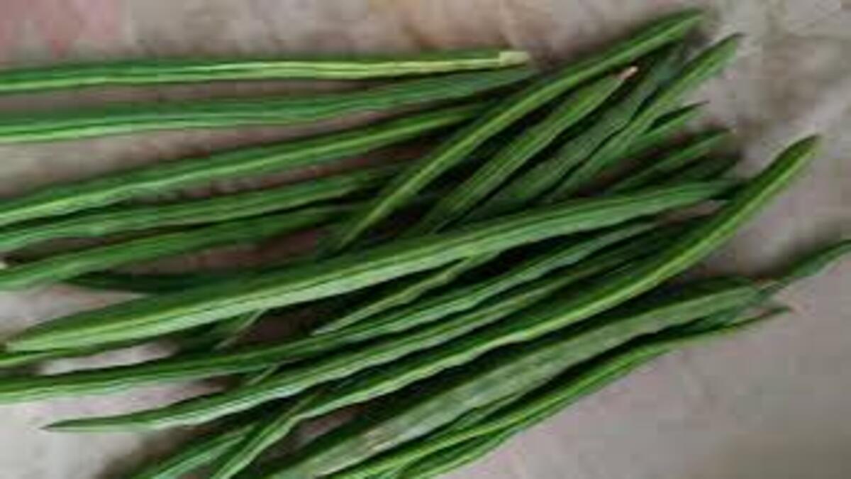 Shevga pods price hike