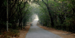 Winter In Maharashtra
