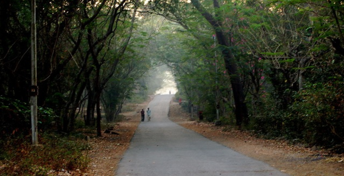 Winter In Maharashtra