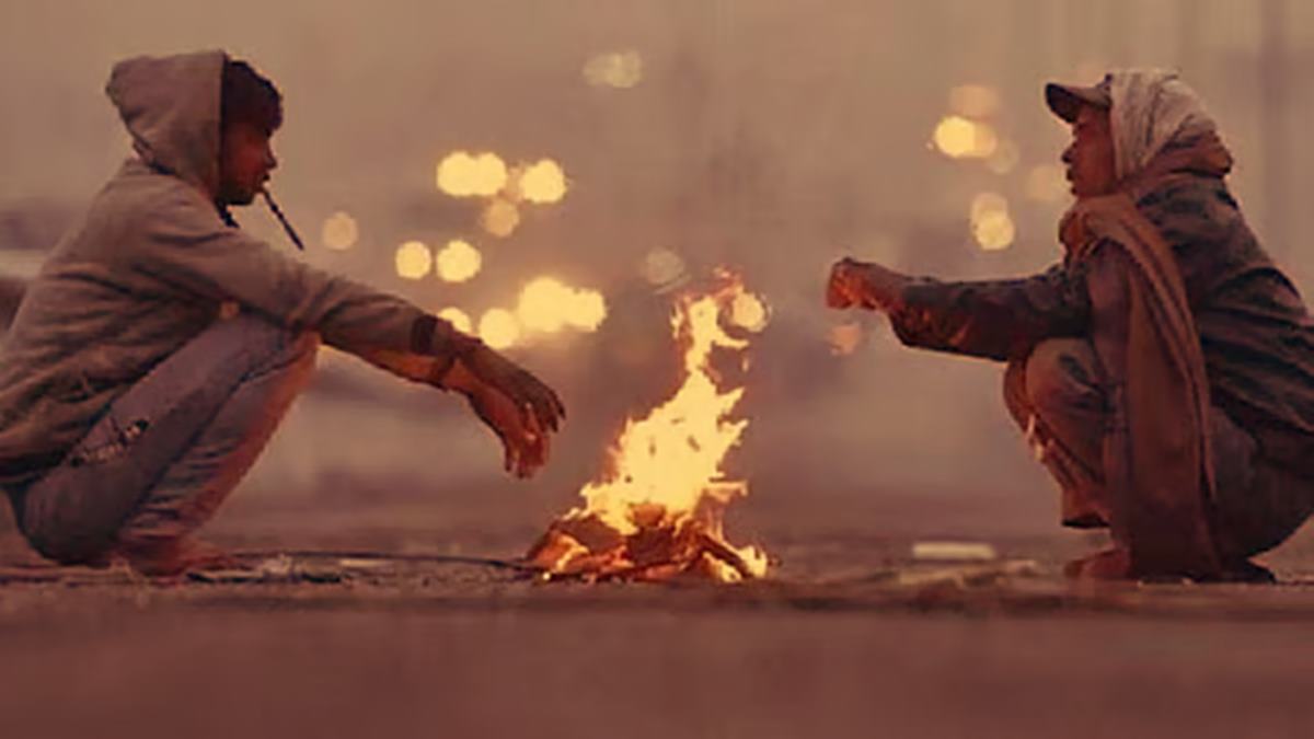 Maharashtra Cold Wave