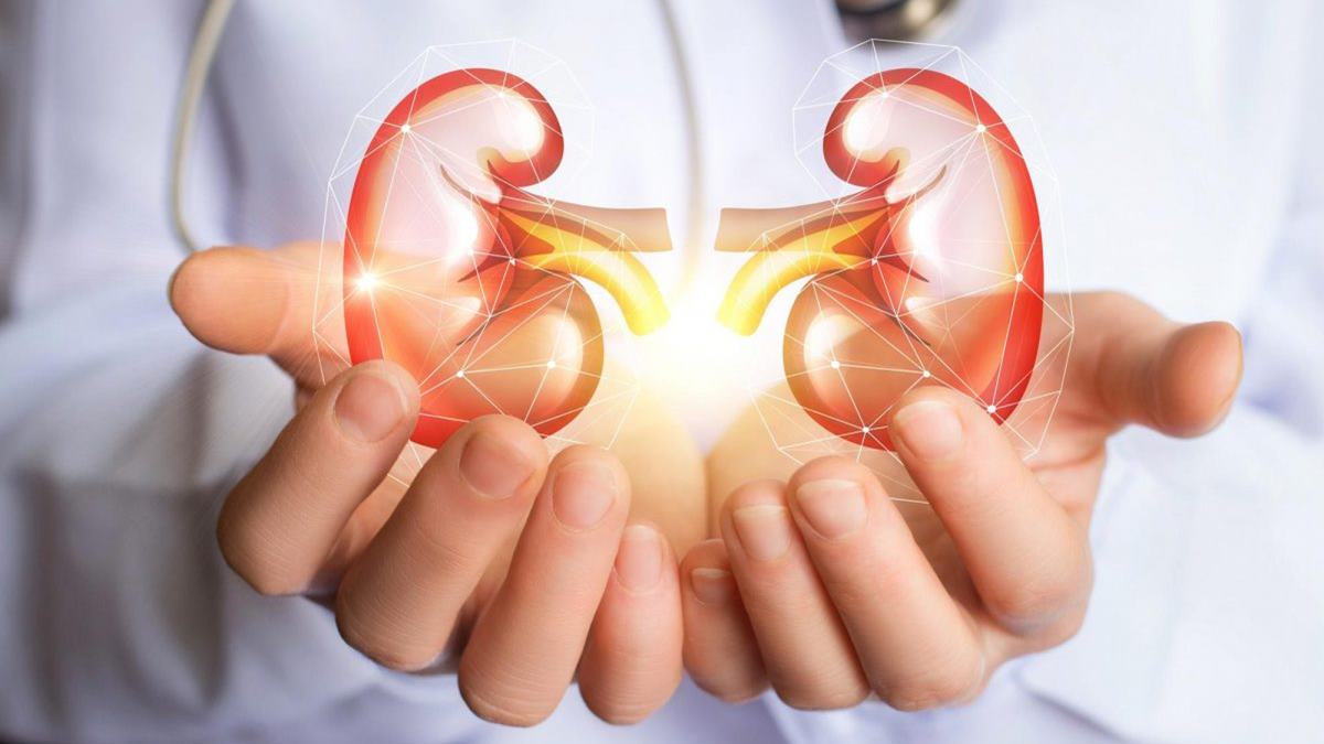 Kidney Health