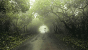 Mahabaleshwar weather