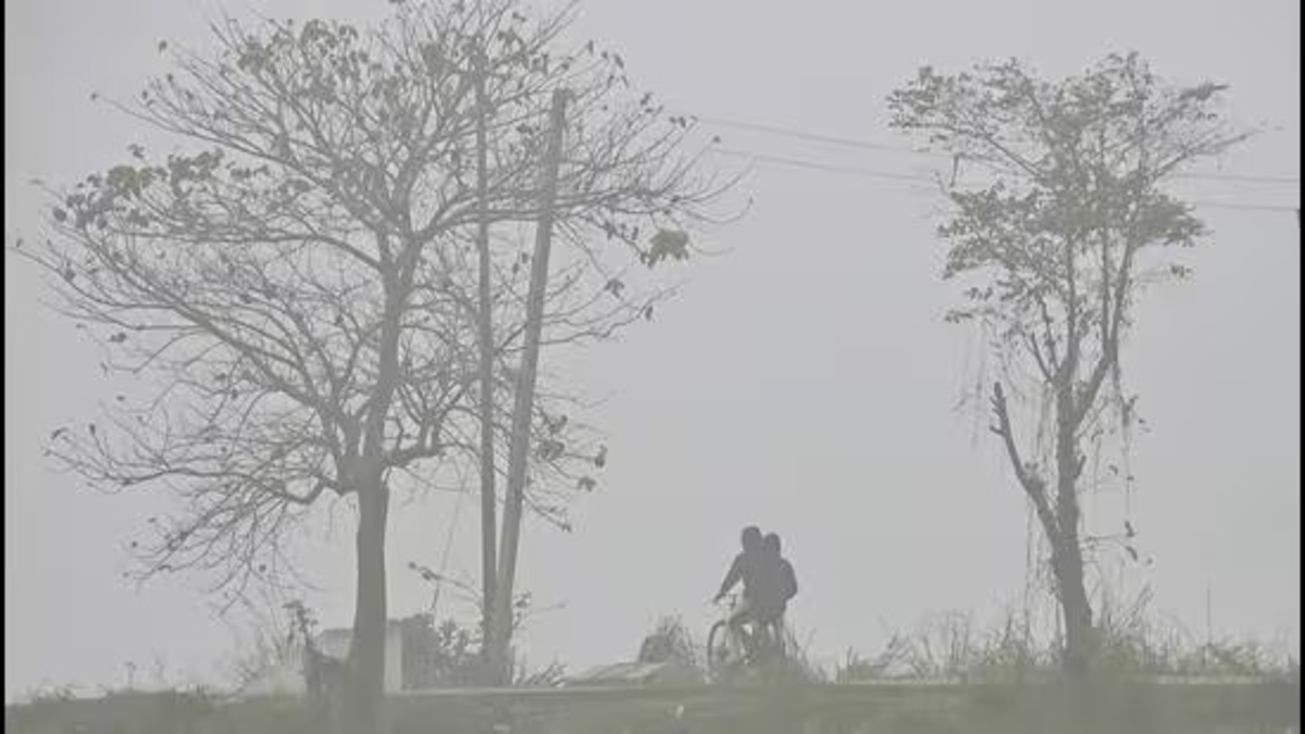 Cold Wave Warning In Maharashtra