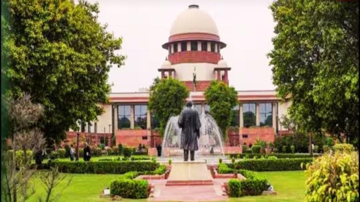 Supreme Court on Dog