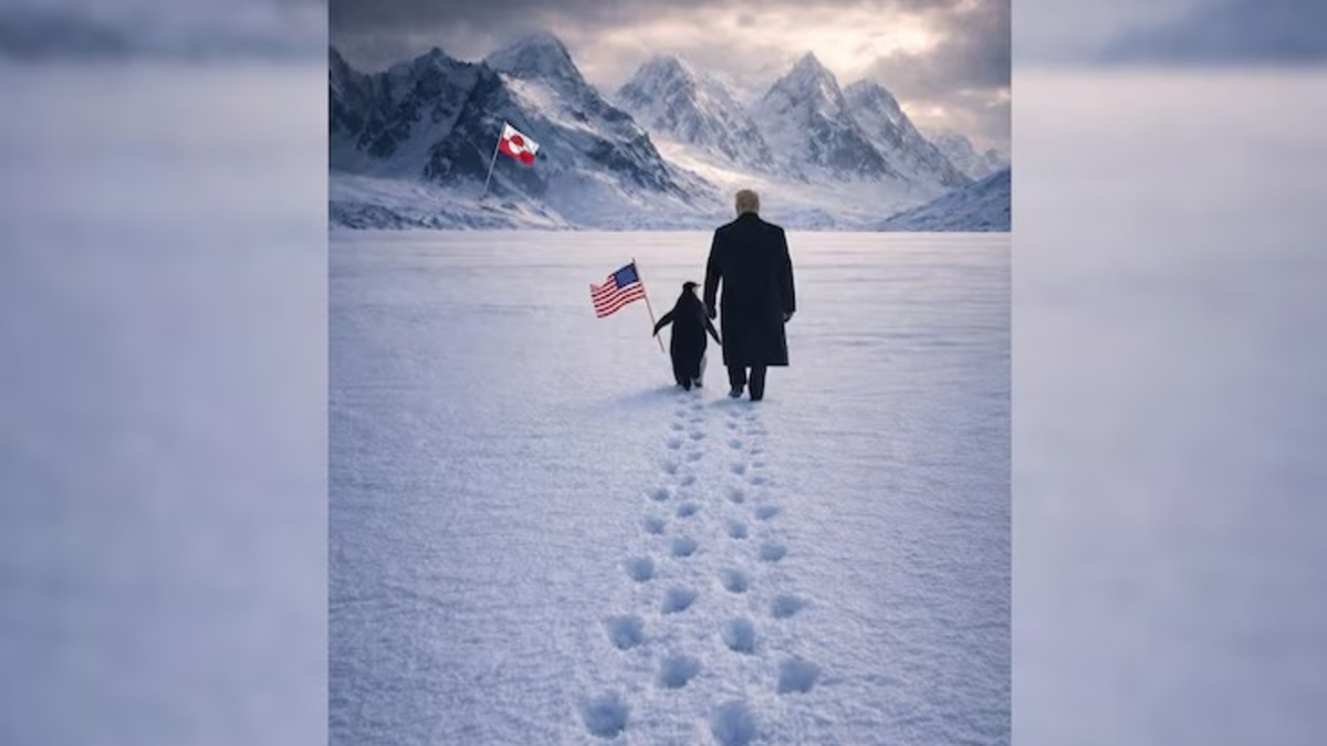 Trump Joins Penguin Meme