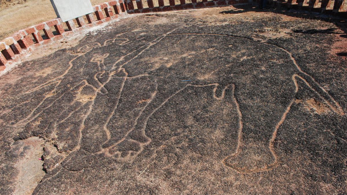 Konkan Rock Art Project
