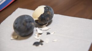Japan Black Eggs Mystery