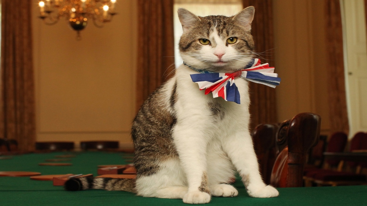 Britain cat Larry