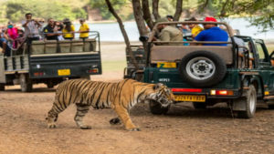 Ranthambore Mobile Ban