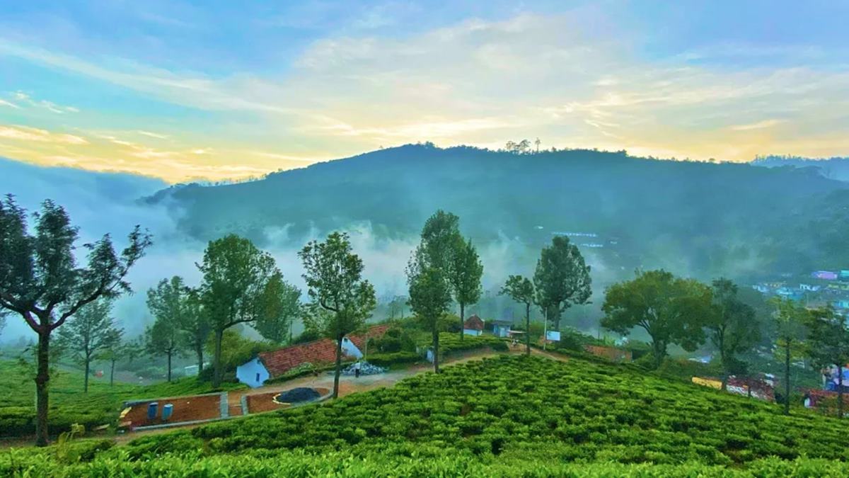 Best hill stations in India for summer