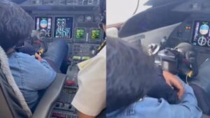 Jai Pawar Shared Video