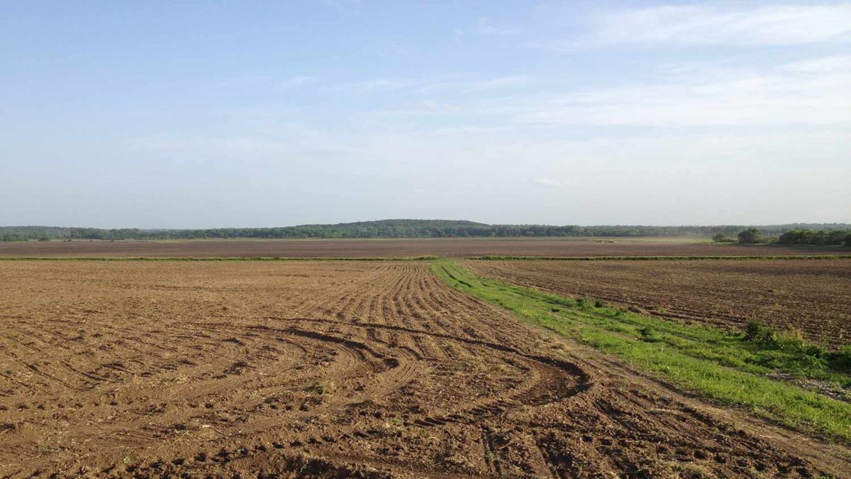 Maharashtra Revenue Department land scam 2026