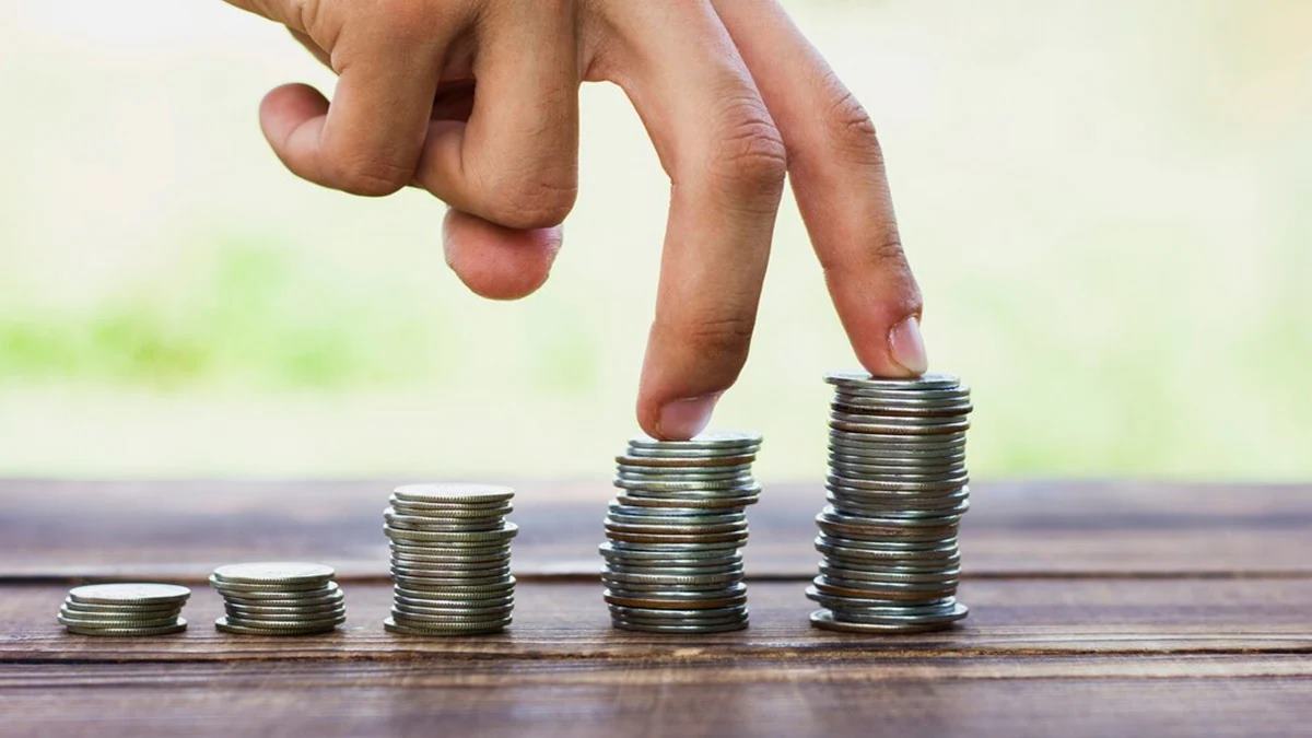 Small Saving Schemes