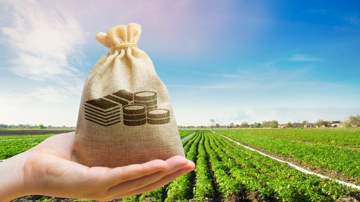 Agricultural Land Tax Rules