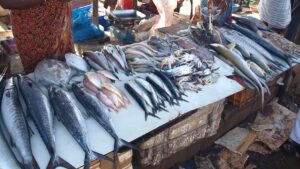 BMC Fish Cutting Ban