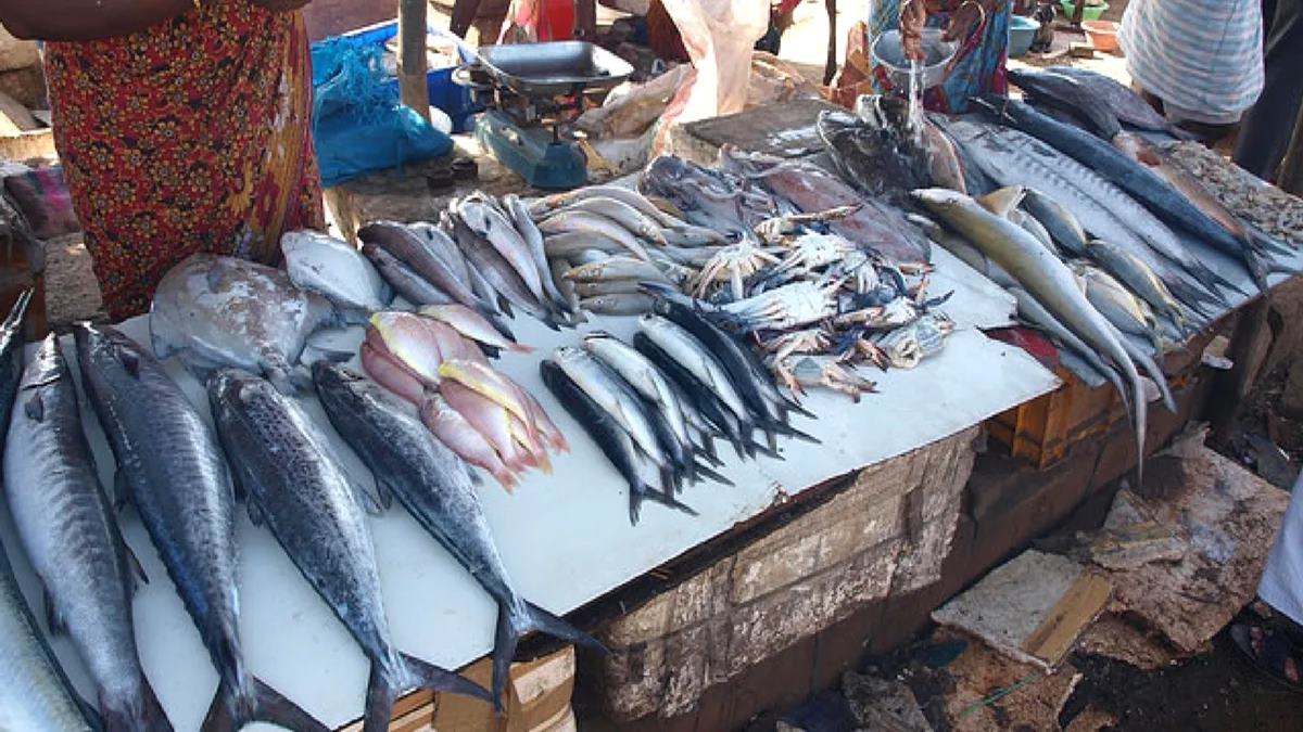 BMC Fish Cutting Ban