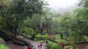 Sanjay Gandhi National Park Morning Walk Fee Hike