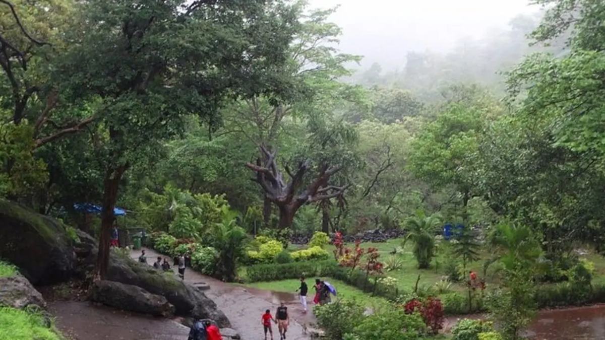 Sanjay Gandhi National Park Morning Walk Fee Hike