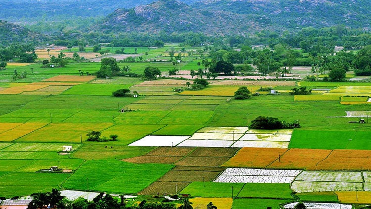 Devasthan Land