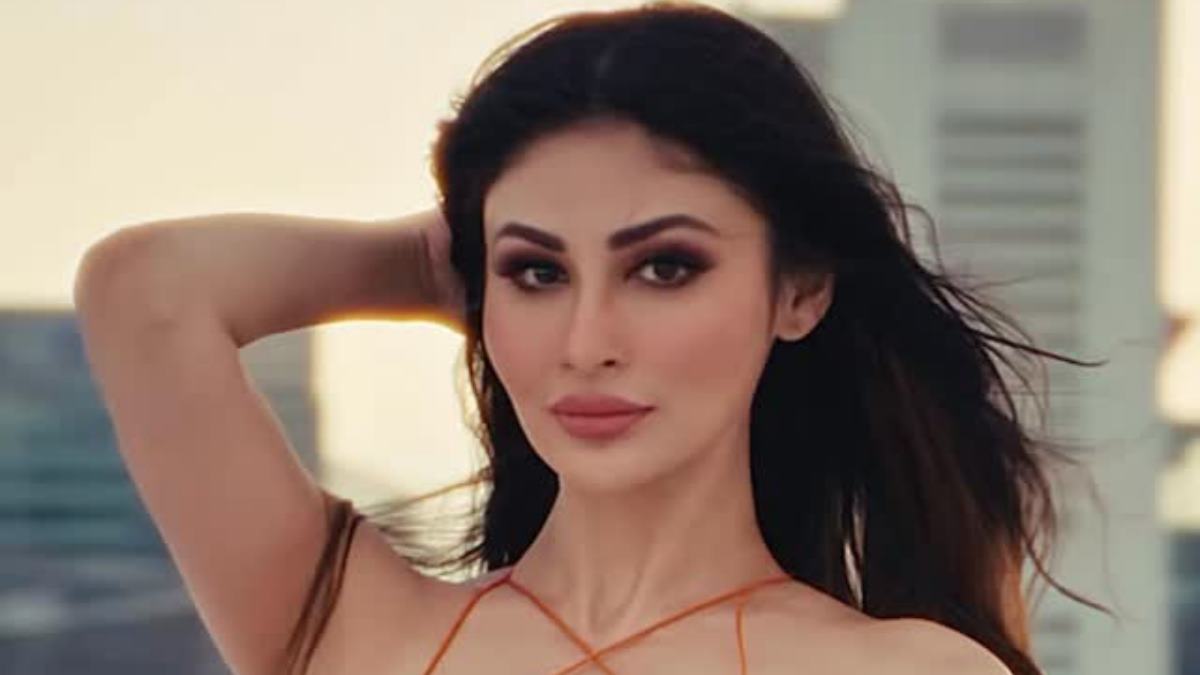Mouni Roy Divorce Rumours