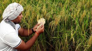 Farmer Loan Waiver : 30 जूनपूर्वी शेतकऱ्यांना कर्जमाफी! खरीप हंगामासाठी मुख्यमंत्र्यांची मोठी घोषणा, CIBIL ची अट रद्द