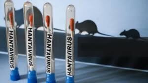 What is Hantavirus