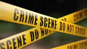 Crime News